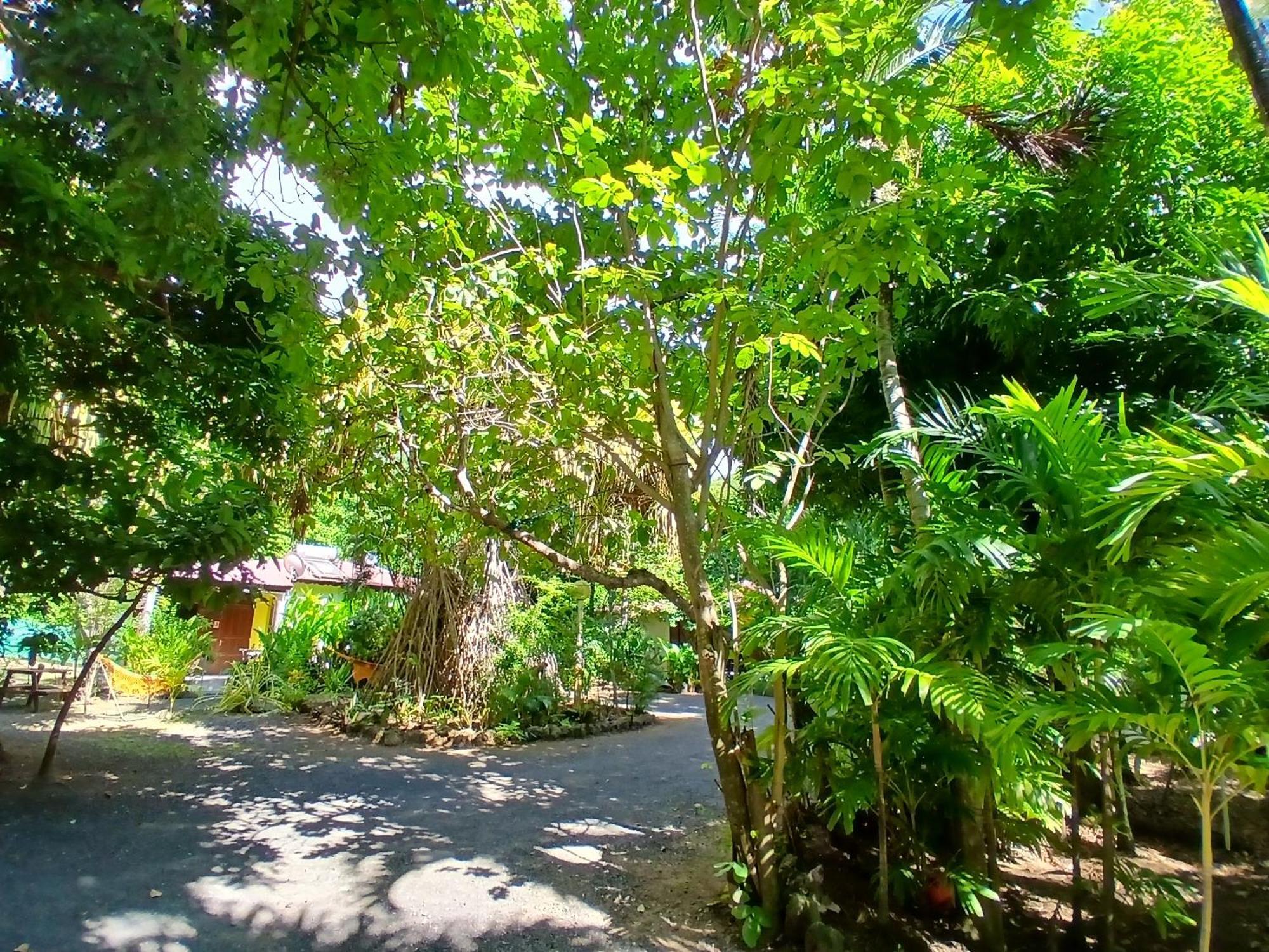 Residence Les Manguiers Pointe-Noire Exterior photo